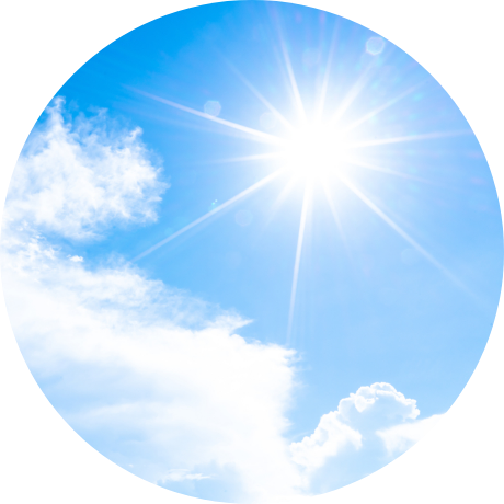 Naturally Sunny | Logo