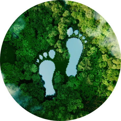 Lake in the shape of footprints in forest