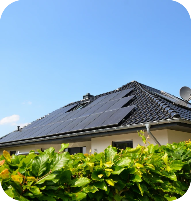 House with solar panels and leafy plants in front
