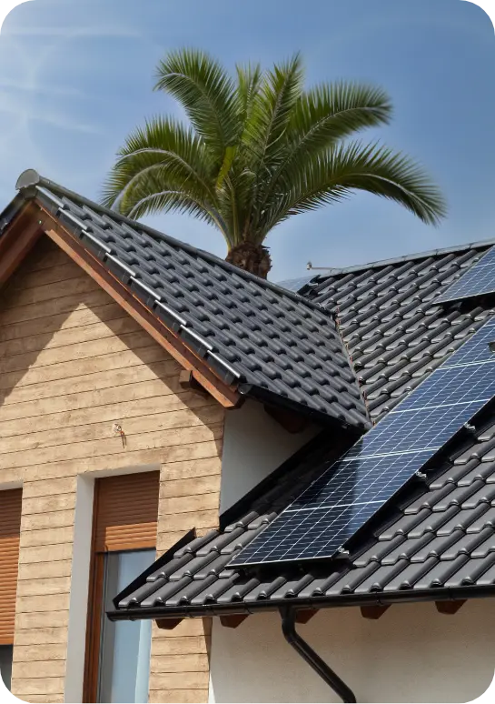 Solar panels on roof with palm in background