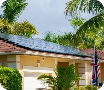 Roof with solar panels and palm trees 