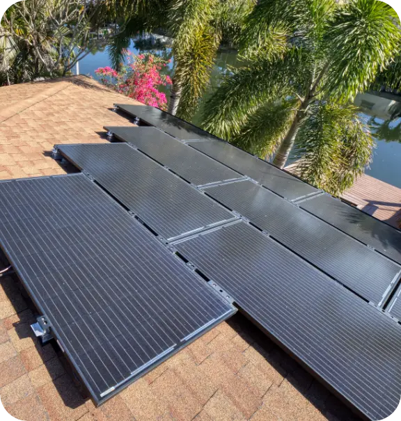 Solar panels near palm trees